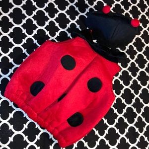 🎃 2 Piece Infant Ladybug Costume ~ fits up to 24 months ~
